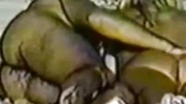 sucer mes meilleurs porno français orteils